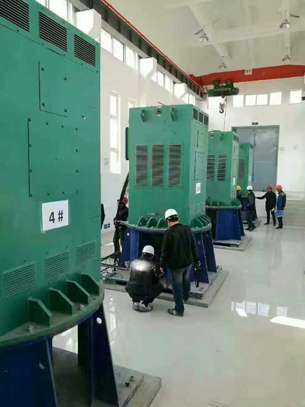 冯坡镇某污水处理厂使用我厂的立式高压电机安装现场